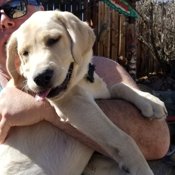 Meet your Posher, Janel - Picture 1 of 1